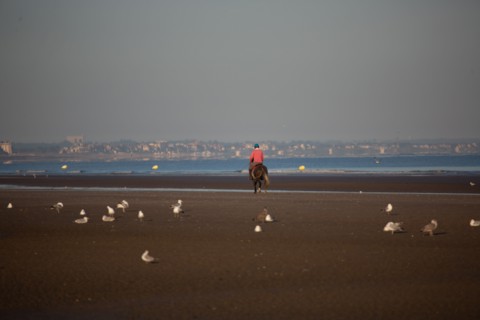 Blonville-sur-Mer (Calvados)