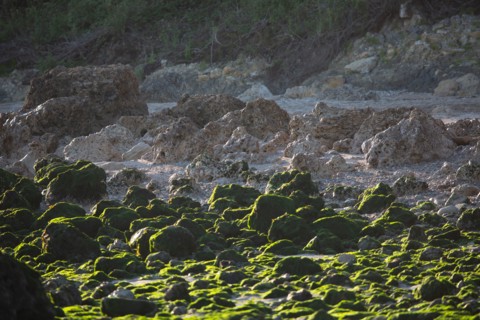 Benerville-sur-Mer (Calvados)