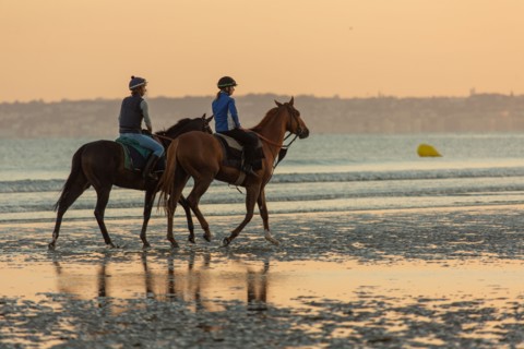 Deauville (Calvados)