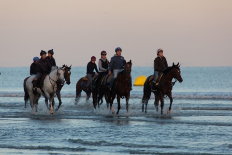Deauville (Calvados)