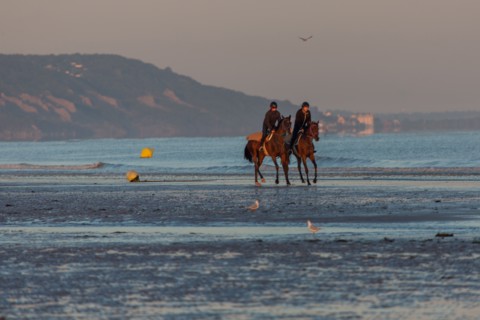 Deauville (Calvados)
