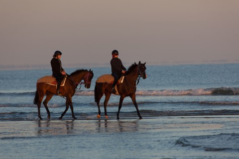 Deauville (Calvados)