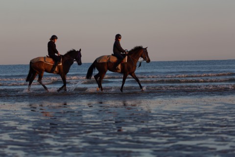 Deauville (Calvados)