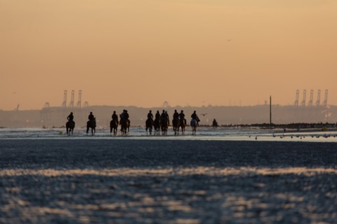 Deauville (Calvados)