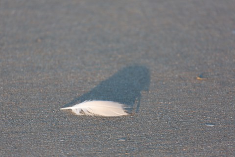 Deauville (Calvados)