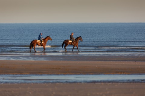 Deauville (Calvados)