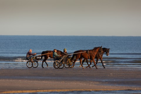 Deauville (Calvados)
