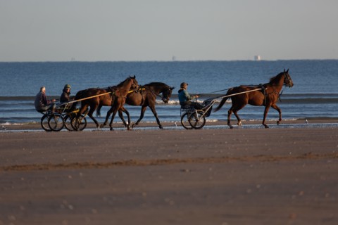 Deauville (Calvados)