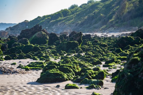 Benerville-sur-Mer (Calvados)