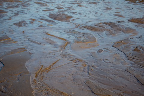 Benerville-sur-Mer (Calvados)