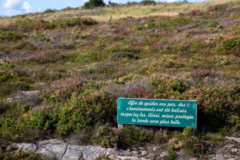 Cap d'Erquy (Côtes d'Armor)