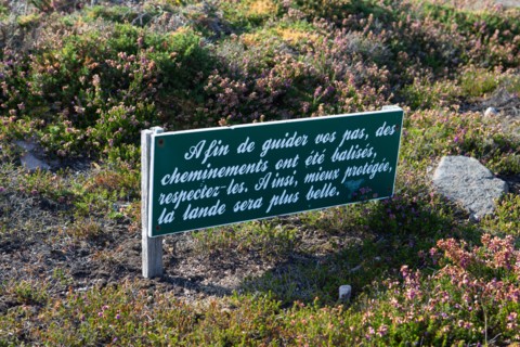Cap d'Erquy (Côtes d'Armor)