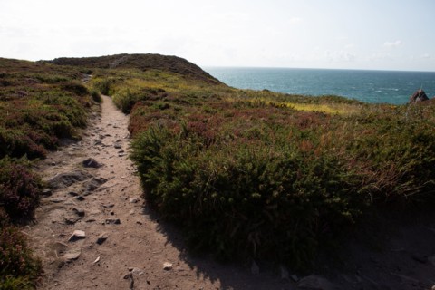 Cap d'Erquy (Côtes d'Armor)