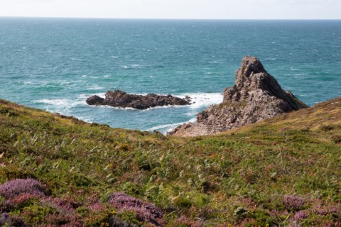 Cap d'Erquy (Côtes d'Armor)