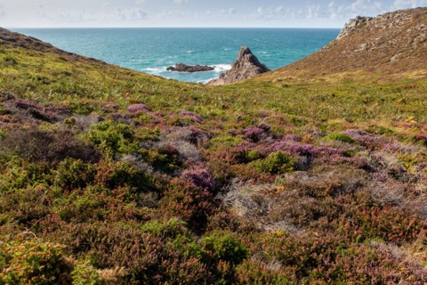 Cap d'Erquy (Côtes d'Armor)