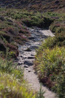 Cap d'Erquy (Côtes d'Armor)