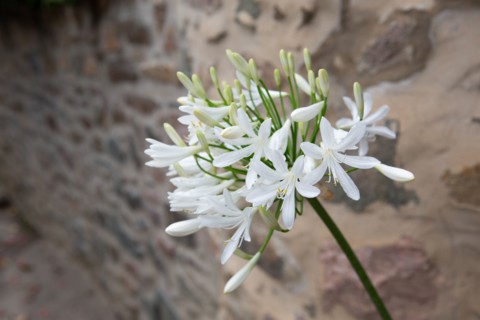 Pléneuf Val André (Côtes d'Armor)