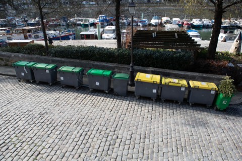 Paris, lined up dustbins