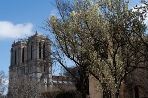 Paris, tours de la cathédrale Notre-Dame