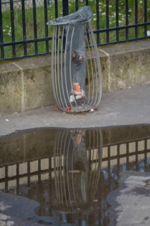 Paris, poubelle de rue