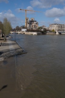 Cathédrale Notre-Dame de Paris, un an après l’incendie du 15 avril 2019