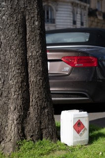 Paris, chemical product laid at the bottom of a tree