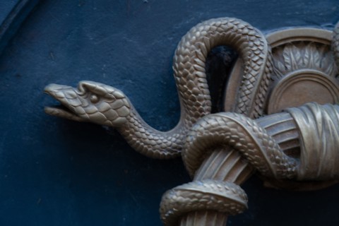 Paris, door knob