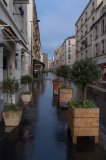 Paris, rue Daguerre