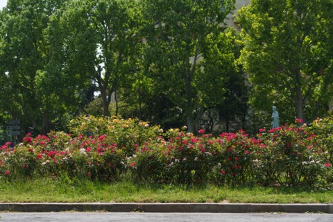 Paris starts re-opening from lockdown, May 2020