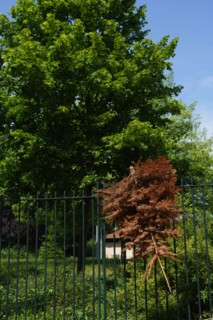 Paris, la semaine du déconfinement, mai 2020