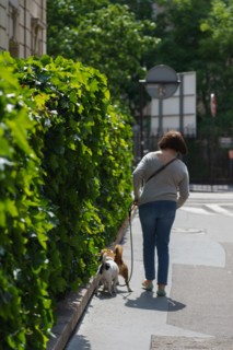 Paris starts re-opening from lockdown, May 2020