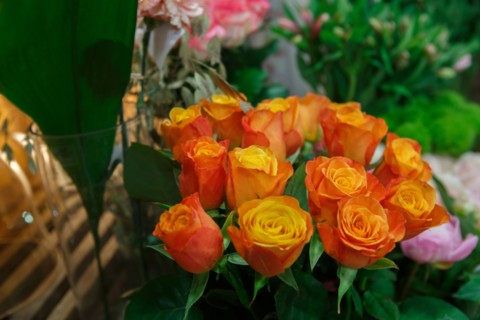 Paris, flower shop on rue d'Alésia
