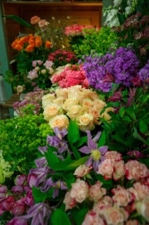 Paris, flower shop on rue d'Alésia