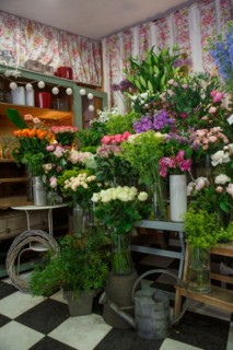 Paris, flower shop on rue d'Alésia