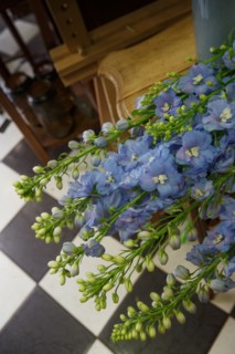 Paris, flower shop on rue d'Alésia