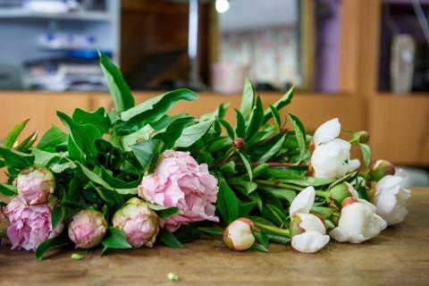 Paris, flower shop on rue d'Alésia
