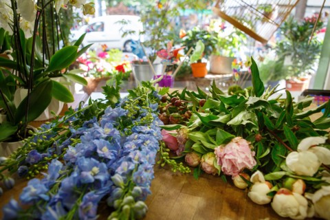 Paris, flower shop on rue d'Alésia