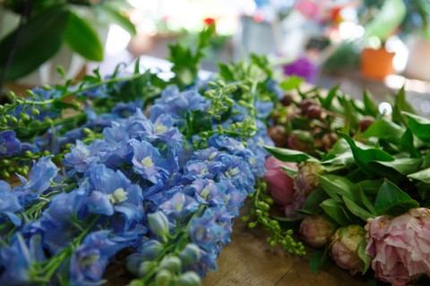 Paris, flower shop on rue d'Alésia