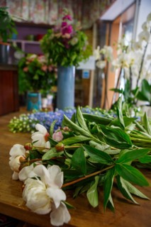 Paris, flower shop on rue d'Alésia