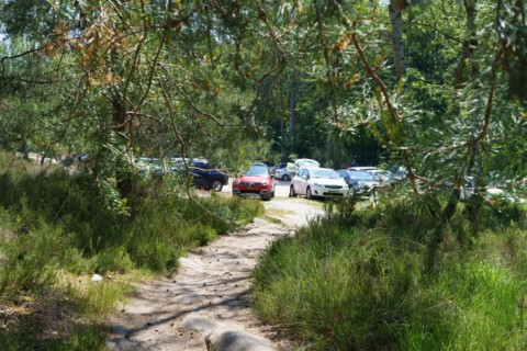 Forêt de Fontainebleau