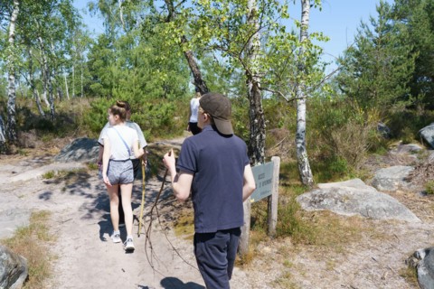 Forêt de Fontainebleau