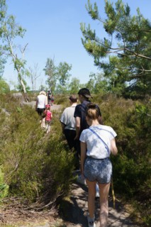 Forêt de Fontainebleau