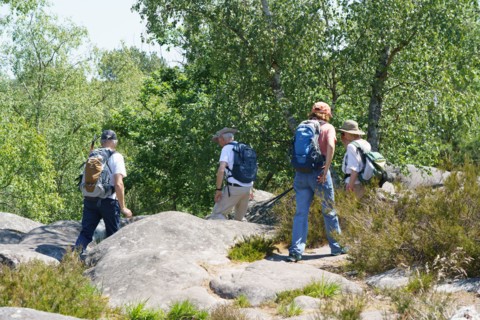 Forêt de Fontainebleau