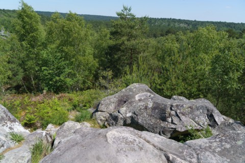 Forêt de Fontainebleau