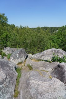 Forêt de Fontainebleau