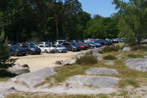 Forêt de Fontainebleau