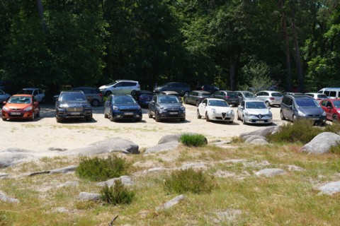Forêt de Fontainebleau