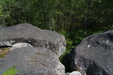 Forêt de Fontainebleau