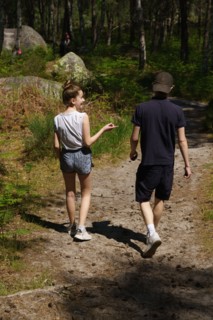 Forêt de Fontainebleau