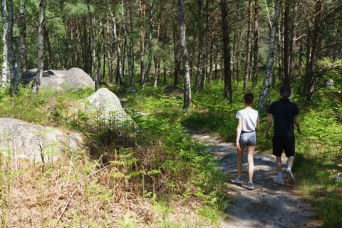 Forêt de Fontainebleau